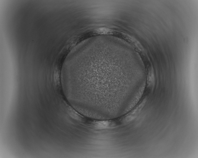 X0000111870473200908061257