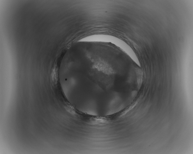 X0000111870475200908061257