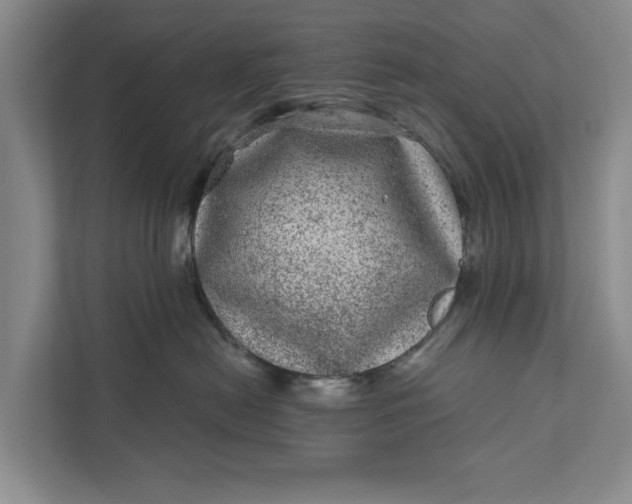 X0000111870478200908061257