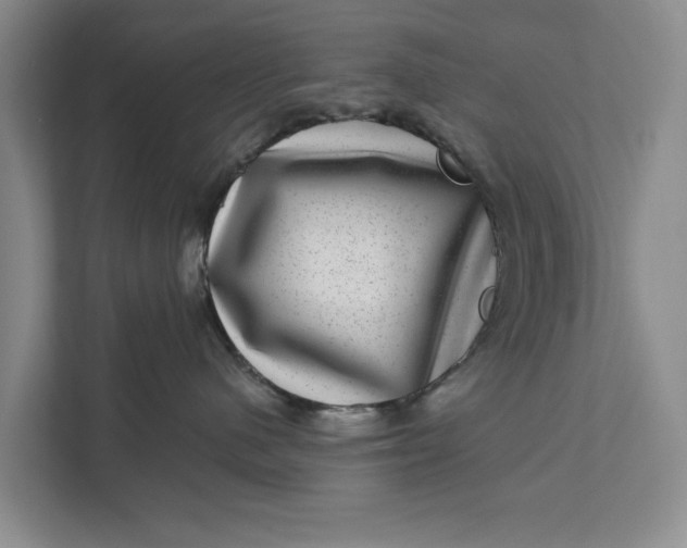 X0000111870480200908061257