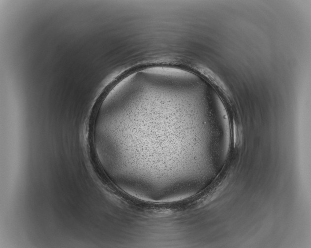 X0000111870483200908061257