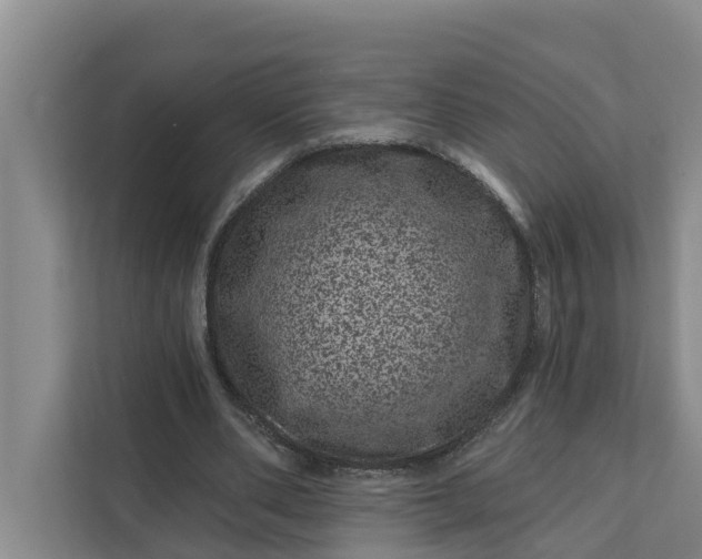 X0000111870486200908061257