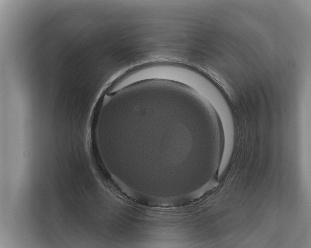 X0000111870488200908061257