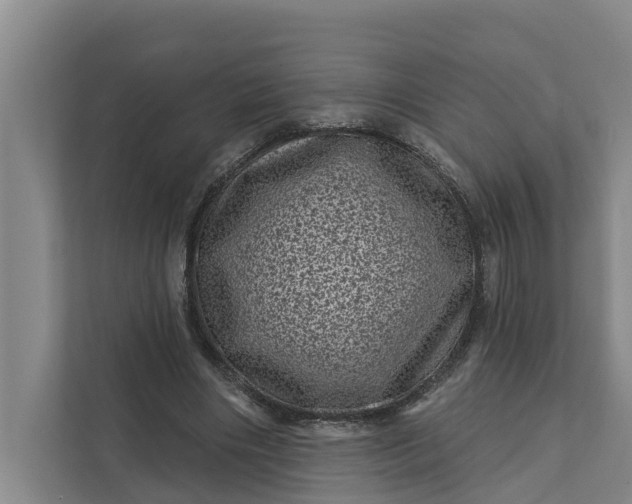 X0000111870490200908061257