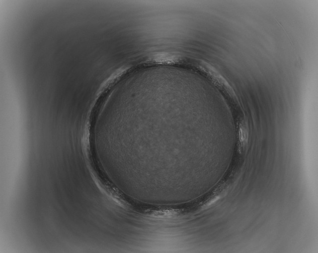 X0000111870492200908061257