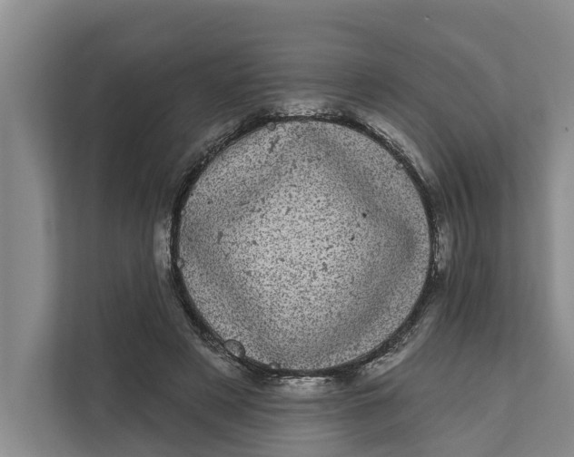 X0000111870497200908061257