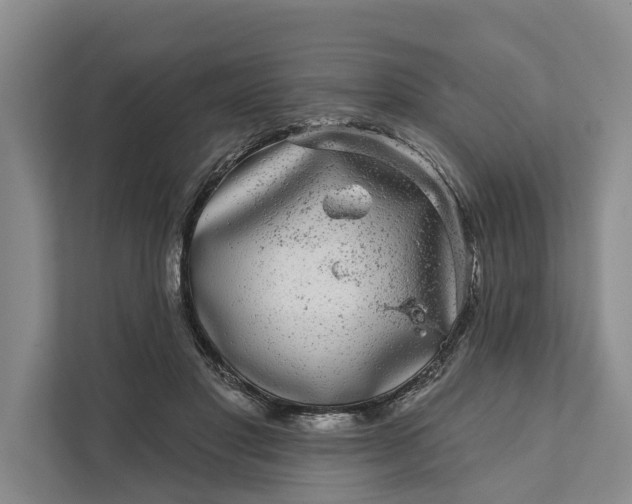 X0000111870501200908061257