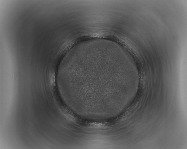 X0000111870502200908061257