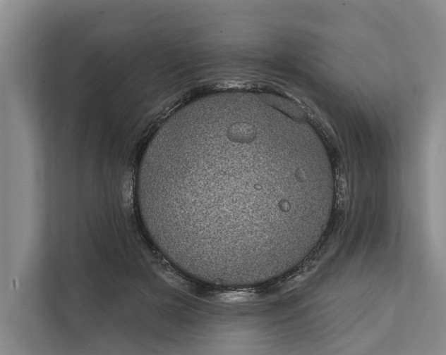 X0000111870505200908061256