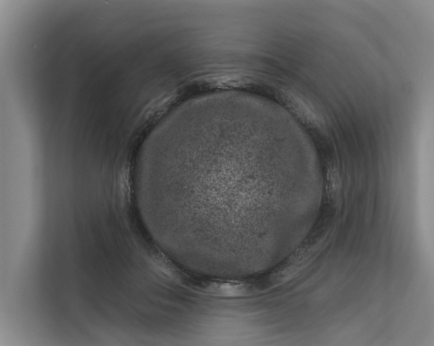 X0000111870506200908061256