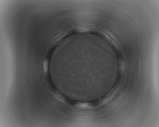 X0000111870507200908061256