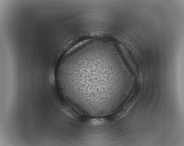 X0000111870508200908061256