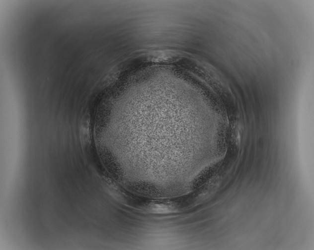 X0000111870510200908061256