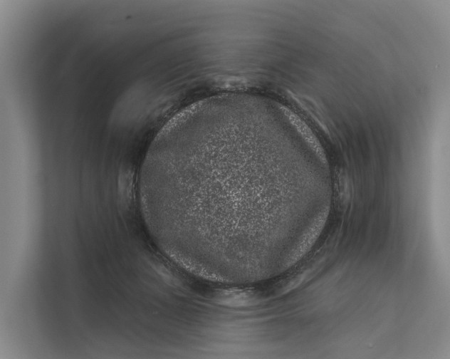 X0000111870511200908061256