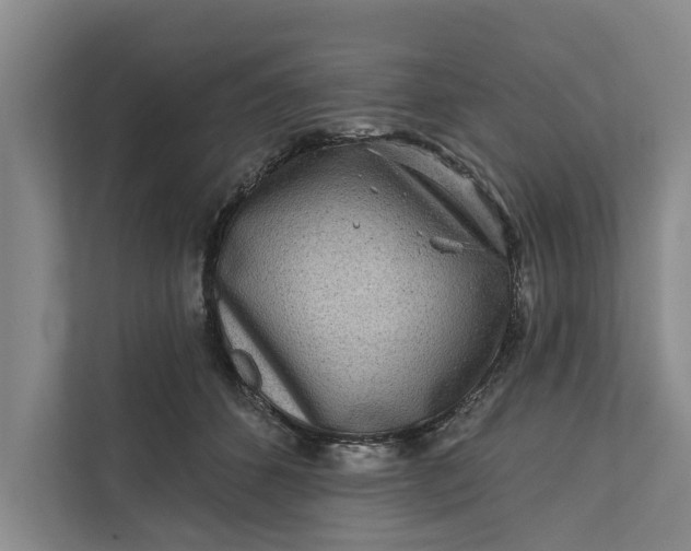 X0000111870512200908061256