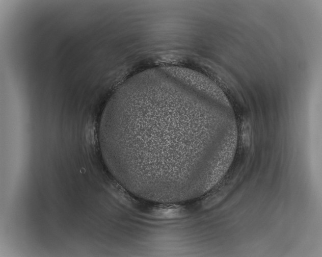 X0000111870514200908061256