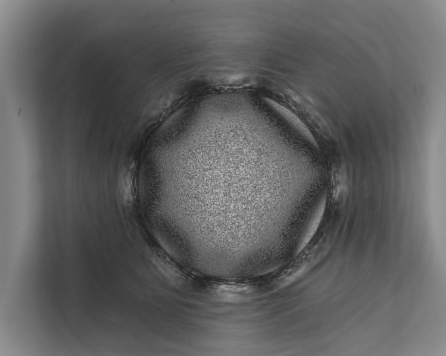 X0000111870515200908061256