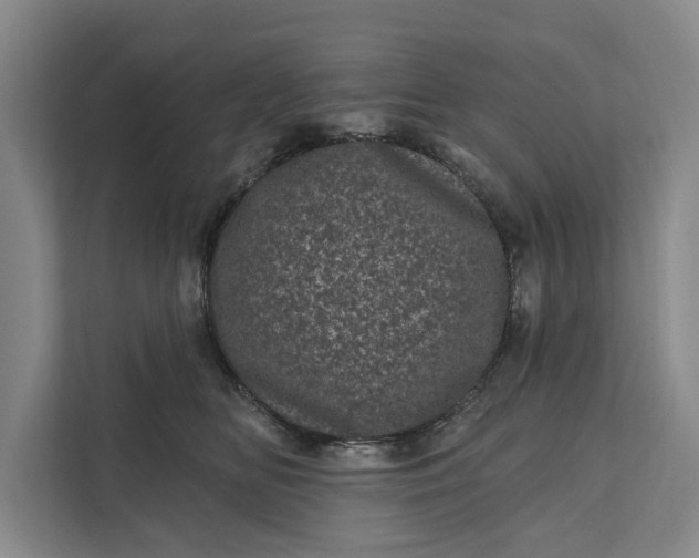 X0000111870518200908061256