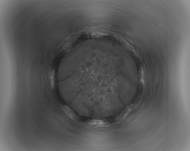 X0000111870519200908061256