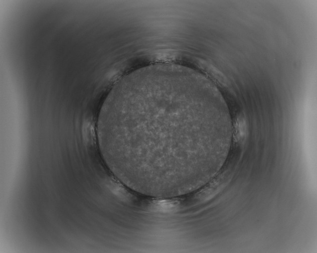 X0000111870522200908061256