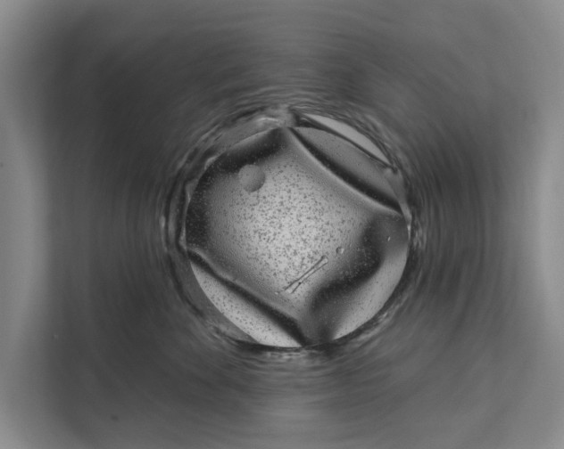 X0000111870524200908061256