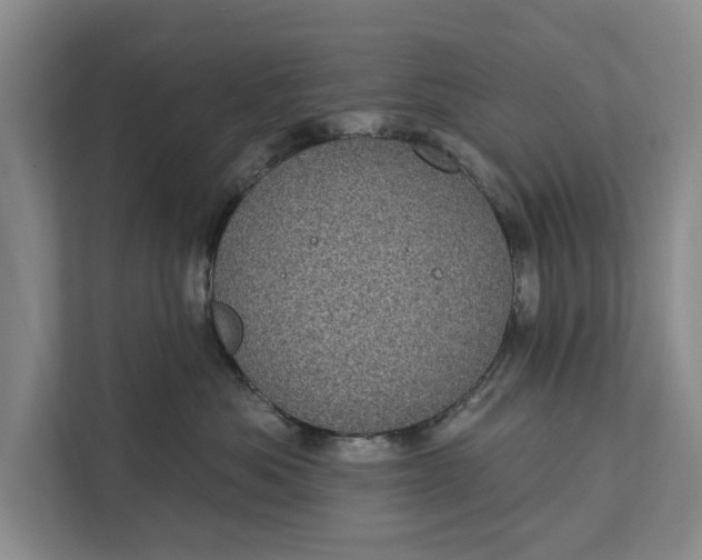 X0000111870525200908061256