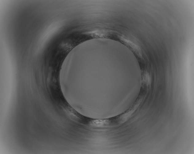 X0000111870526200908061256