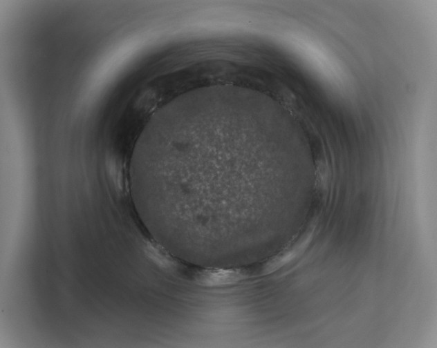 X0000111870527200908061256