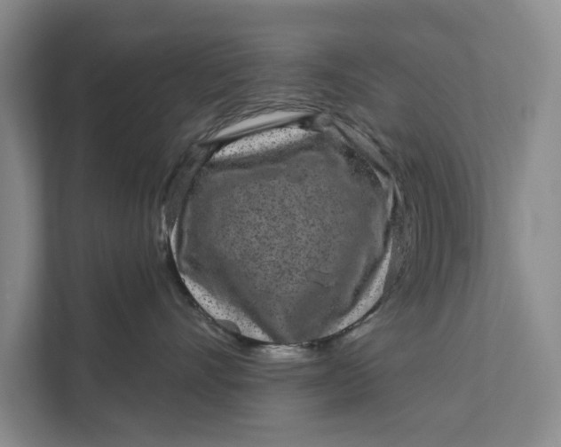 X0000111870528200908061256