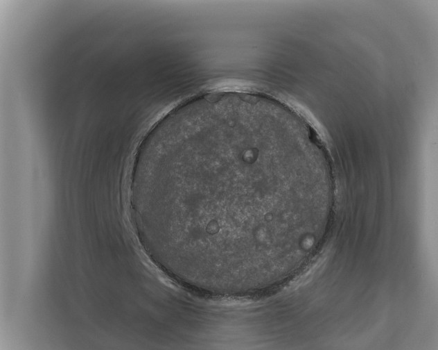 X0000111870529200908061256