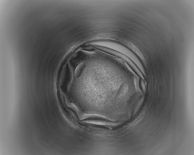 X0000111870530200908061256