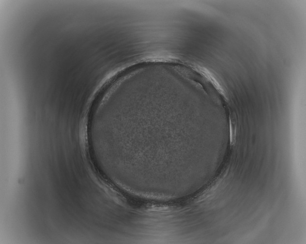 X0000111870531200908061256