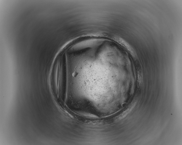 X0000111870532200908061256