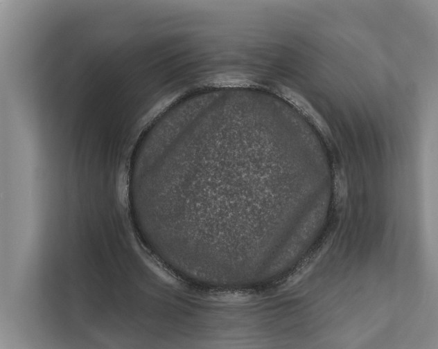 X0000111870533200908061256