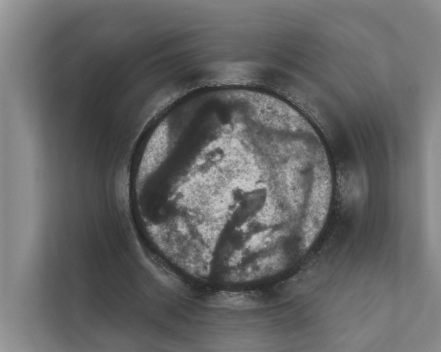 X0000111870534200908061256