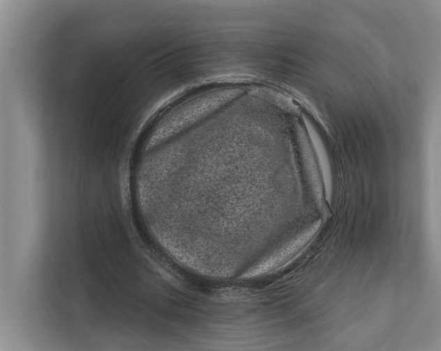 X0000111870535200908061256