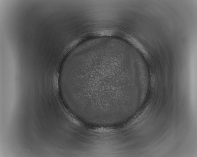 X0000111870537200908061256