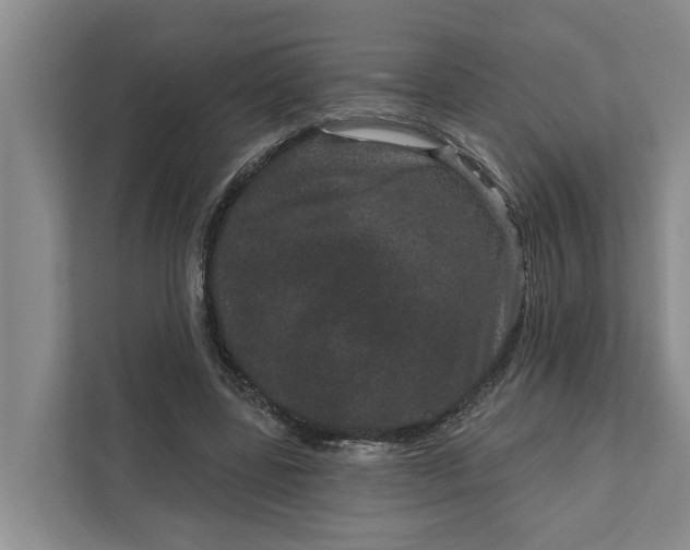 X0000111870539200908061256