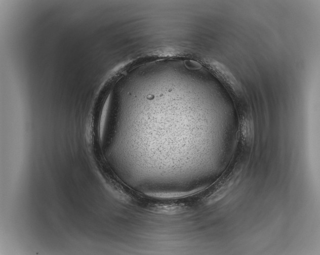 X0000111870540200908061256