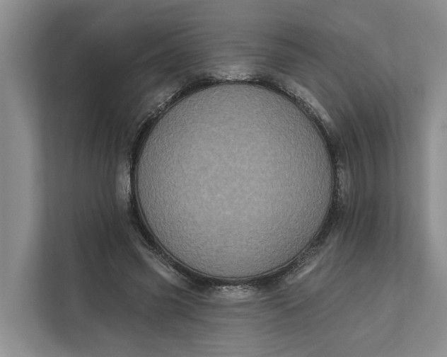 X0000111870541200908061256