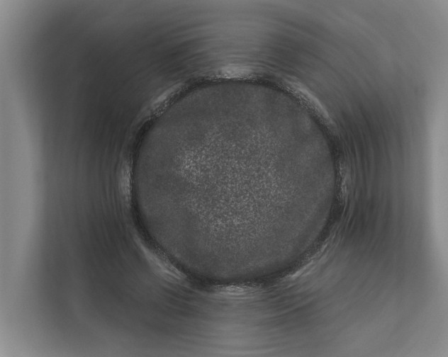 X0000111870542200908061256