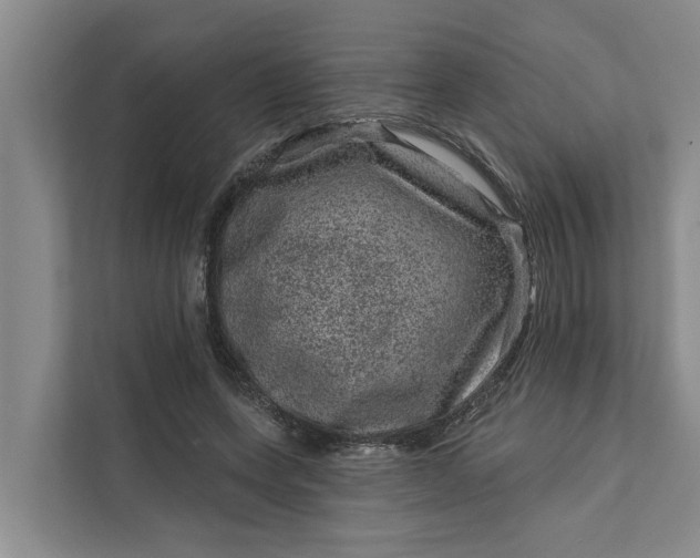 X0000111870543200908061256