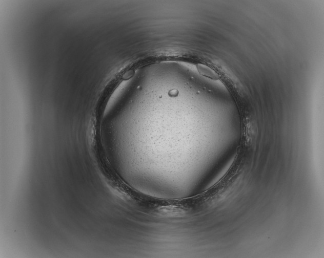 X0000111870544200908061256