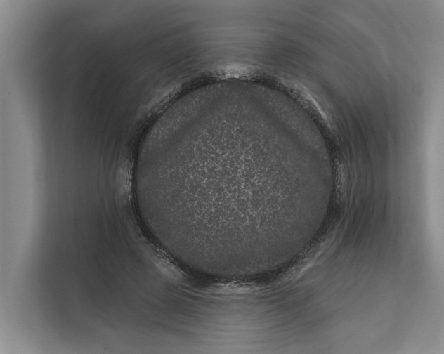 X0000111870545200908061256