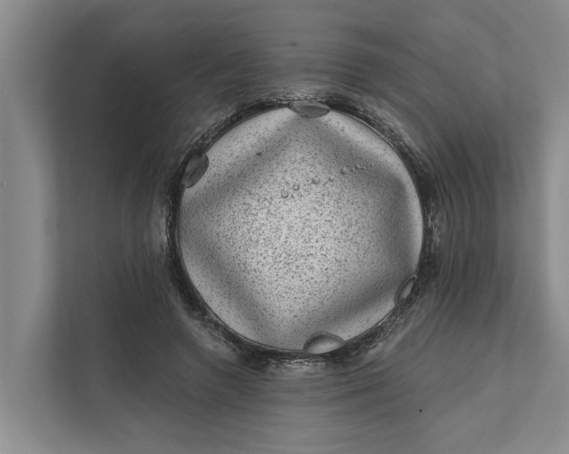 X0000111870546200908061256