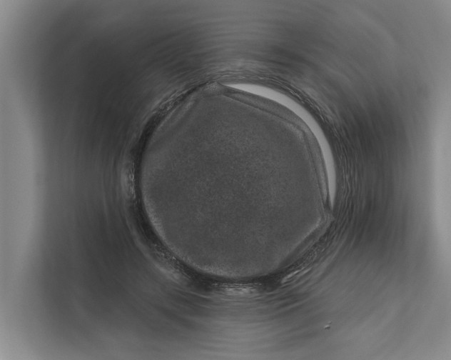 X0000111870547200908061256