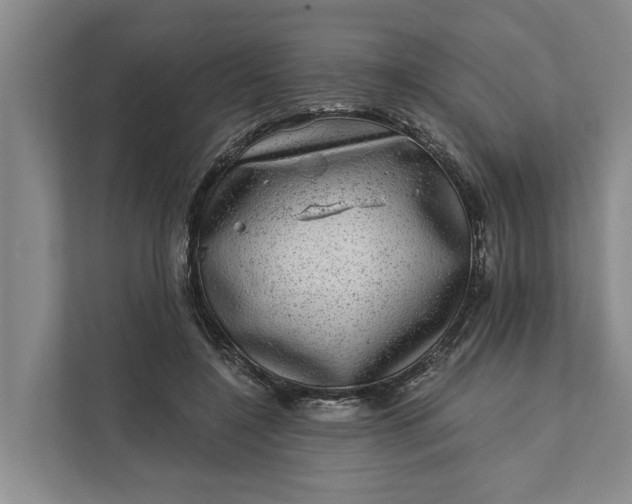 X0000111870548200908061256