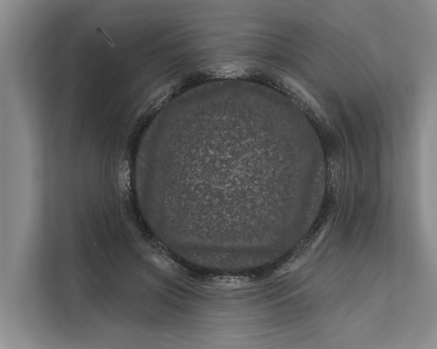 X0000111870549200908061256