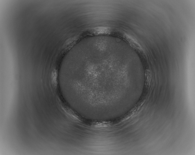 X0000111870550200908061256