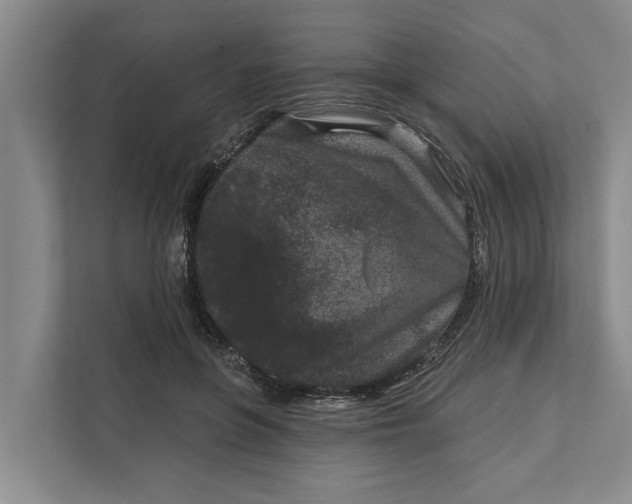 X0000111870551200908061256